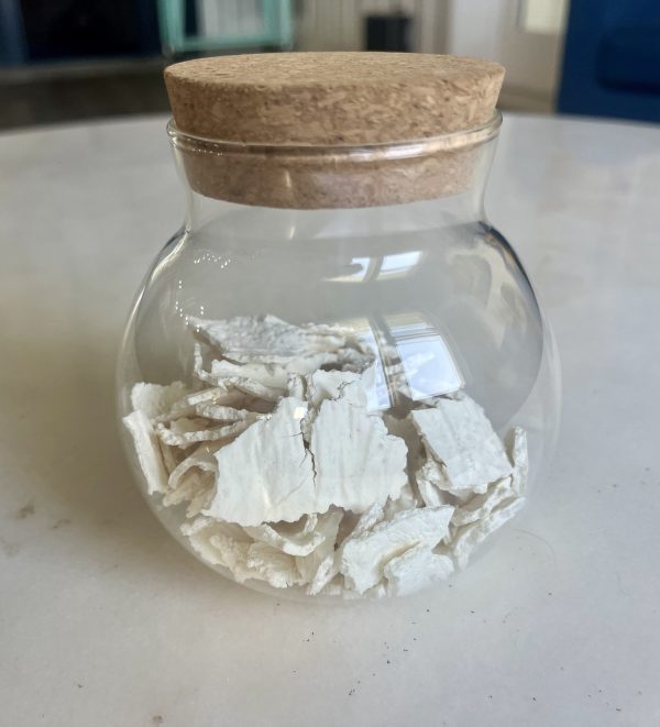 Extra Large Jar of Preserved Breastmilk Powder - Image 2