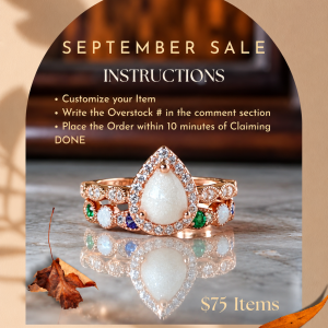 Overstock Winner ($75)