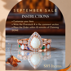 Overstock Winner ($85)